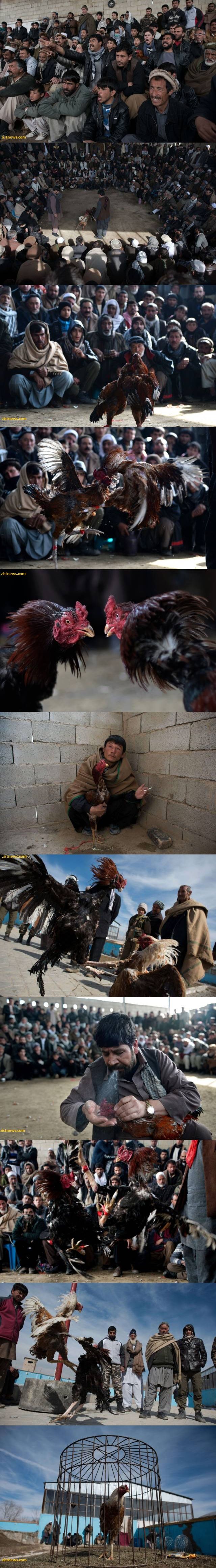 از تفریحاتی! که باید متوقف شود