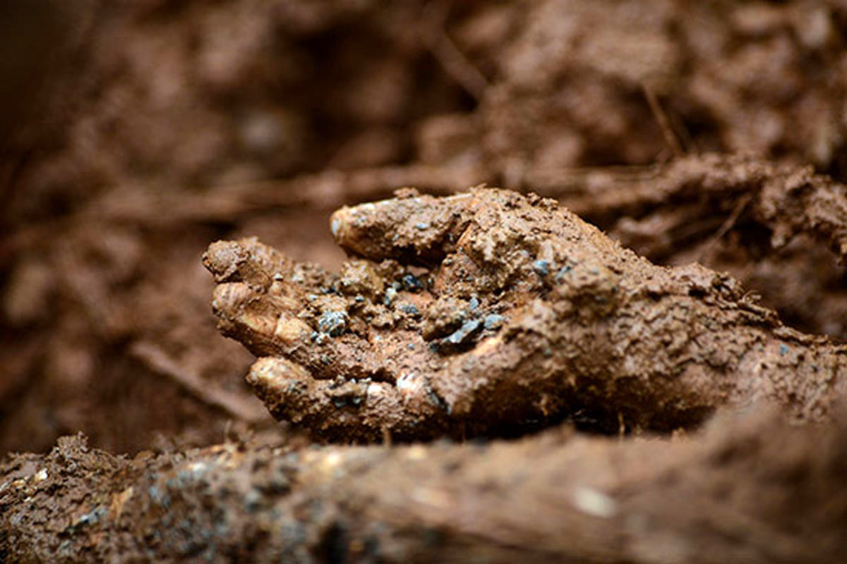 عکس/ بدون شرح