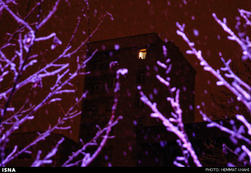 تصاویر: شب برفی تهران