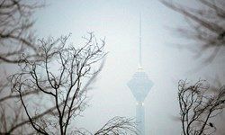 هوا برای گروه‌های حساس ناسالم شد