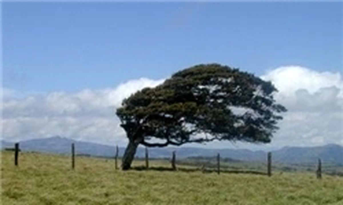 وزش باد با سرعت ۲۰ کیلومتر بر ساعت در تهران