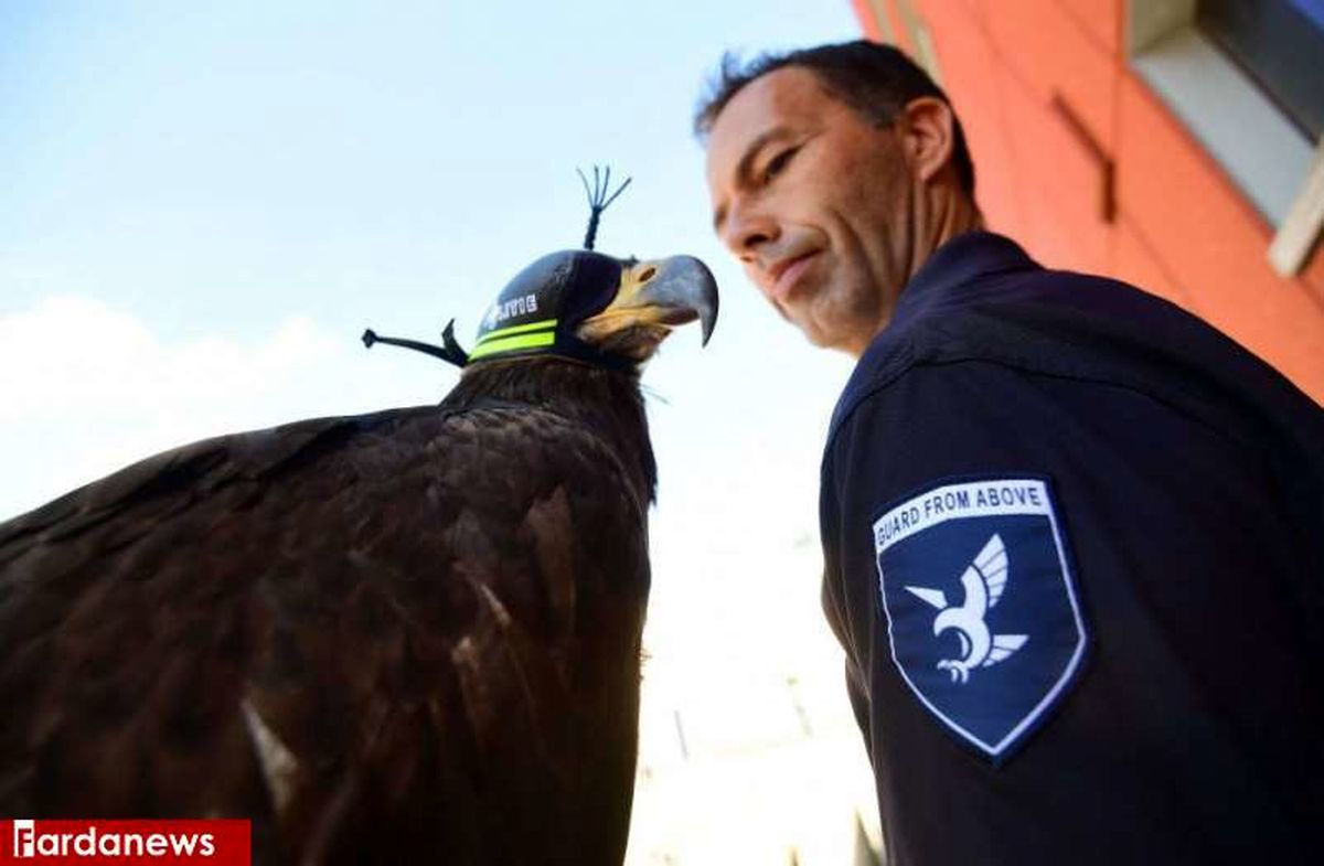 تصاویر: روش هلندی برای شکار جاسوسان مدرن