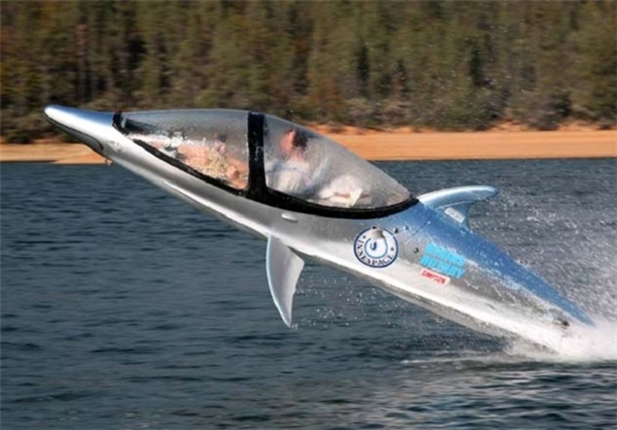 دلفین سواری در اعماق آب‌ها / تصاویر