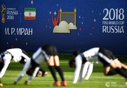 تفاوت ۵۹ دقیقهای یوزها و کانگوروها