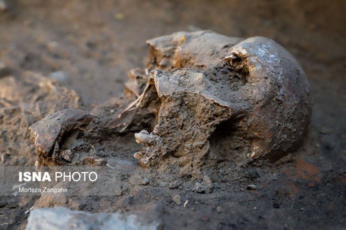 تصاویر: کشف اسکلت دوره اشکانی در تپه اشرف اصفهان