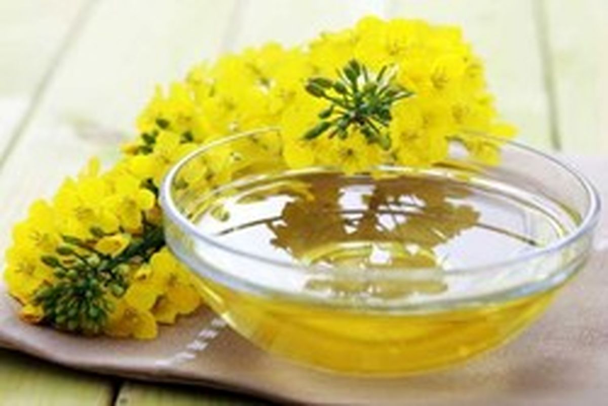 فواید روغن کانولا برای سلامت