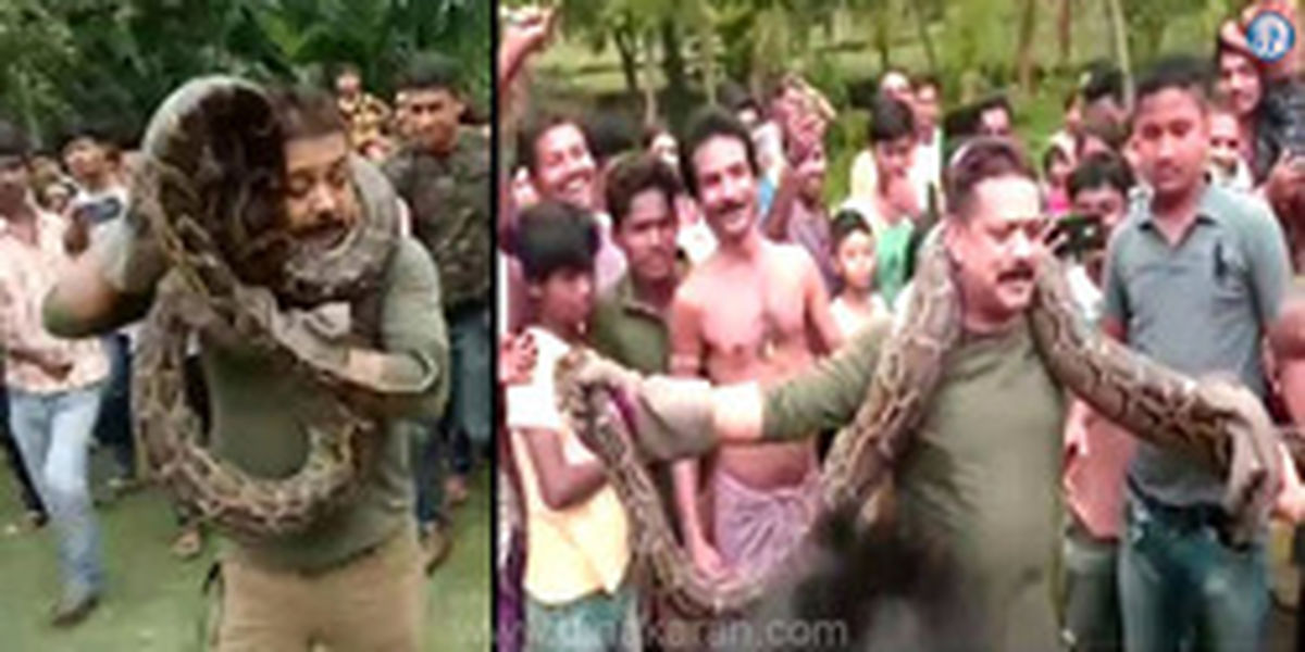 سلفی وحشتناک جنگلبان با مار پیتون غول پیکر! +عکس