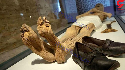 جسد پوسیده مردی در منزلش ۶ ماه پس از مرگ +عکس