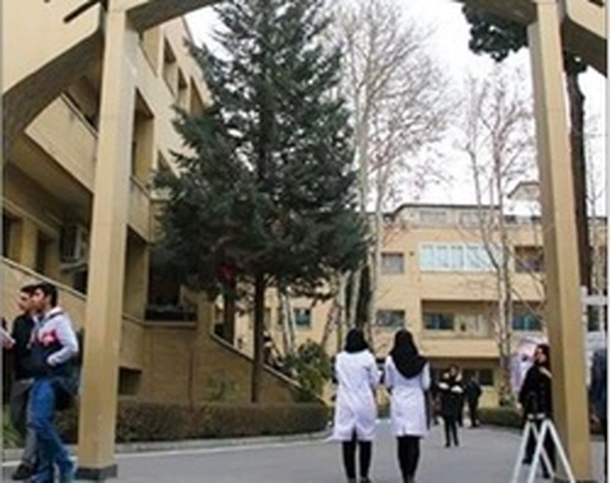 صندلیهای ۵۰۰میلیون تومانی!