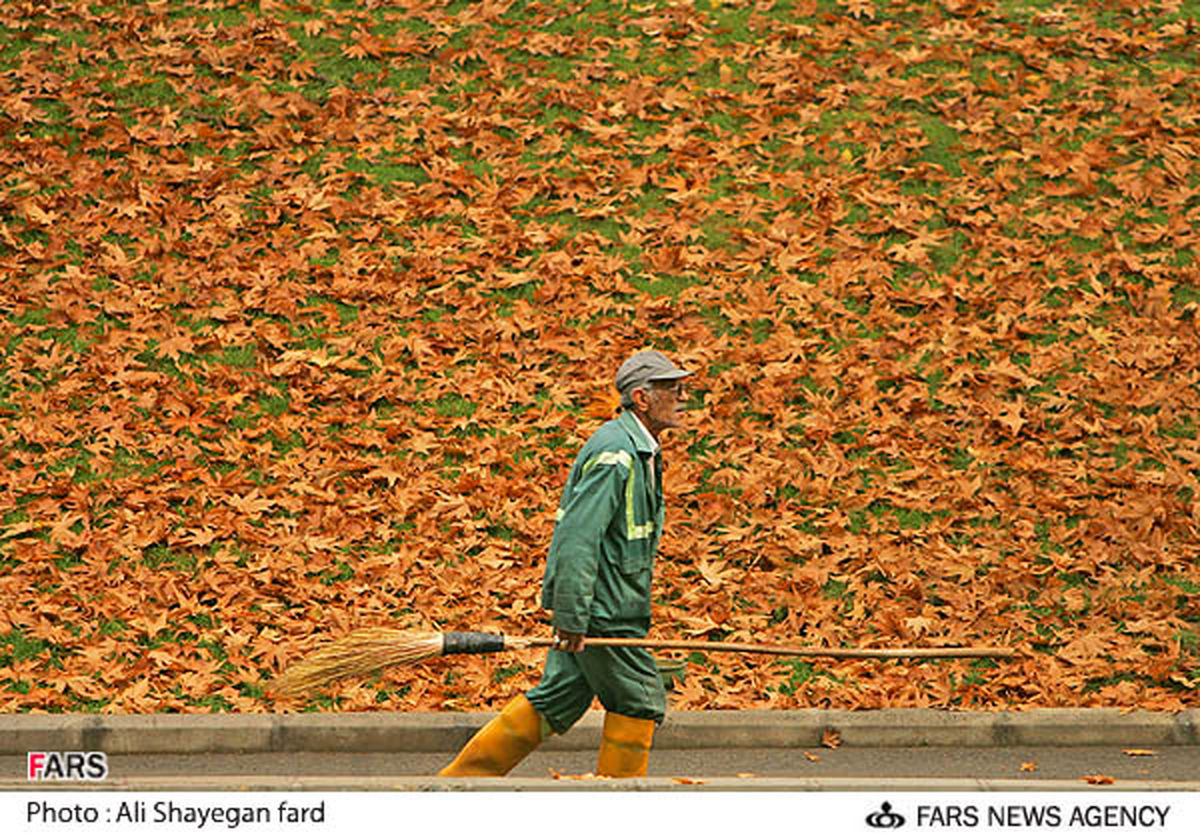 تصویر: پاییز تهران
