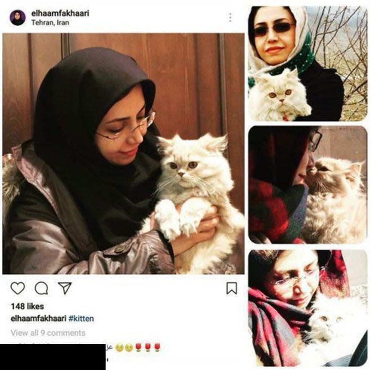 عکس با گربه‌ مان را پسرم گرفت