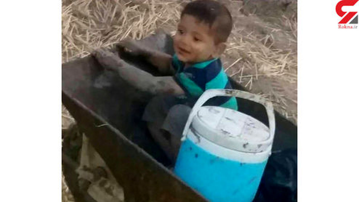 حفاظت سگ ها از پسربچه گمشده گلستانی +فیلم