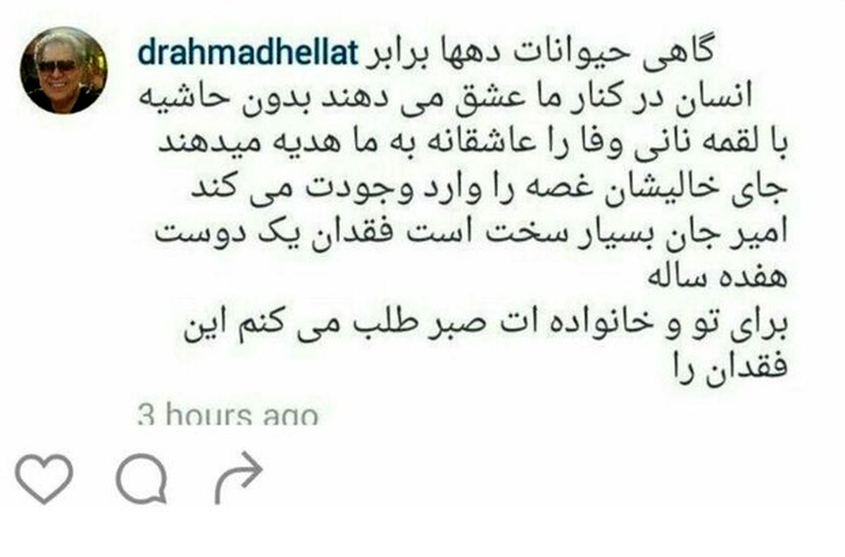 موج پیام تسلیت برای سگ بازیگر ایرانی! +عکس