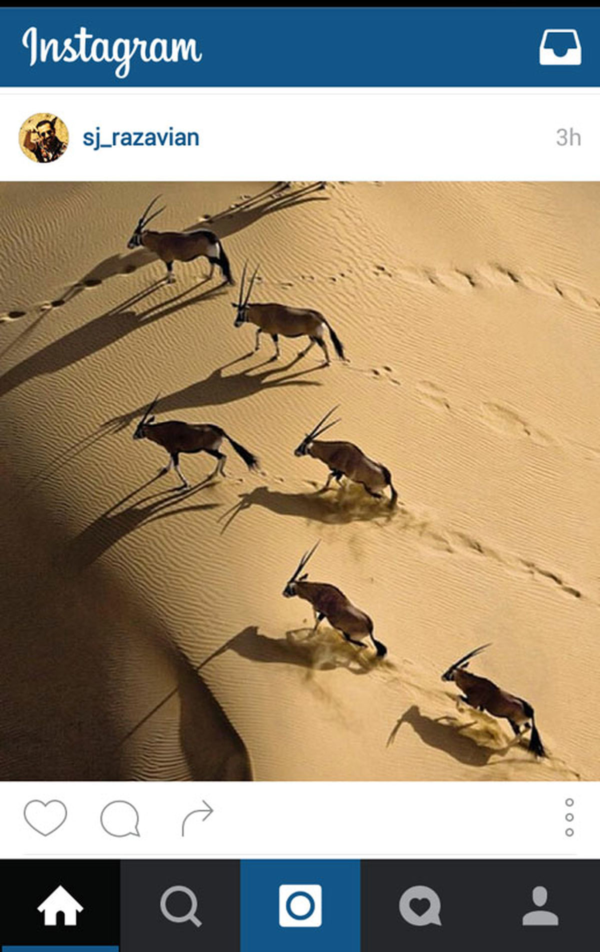 عکس:صحرای نامیبیا در اینستاگرام بازیگر طنز