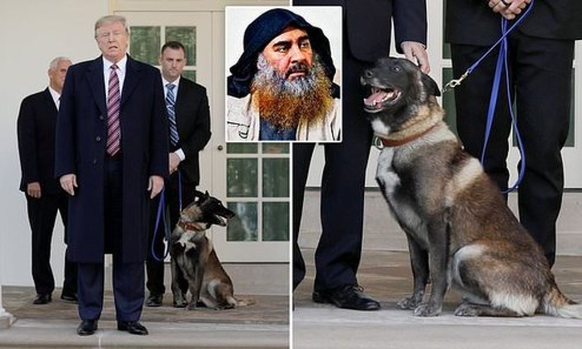 ترامپ: اندازه آن سگ هم از من تقدیر نشد!