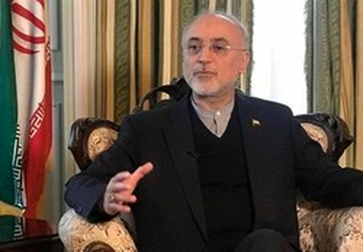 صالحی: خیلی راحت میتوانیم به شرایط قبل از برجام برگردیم