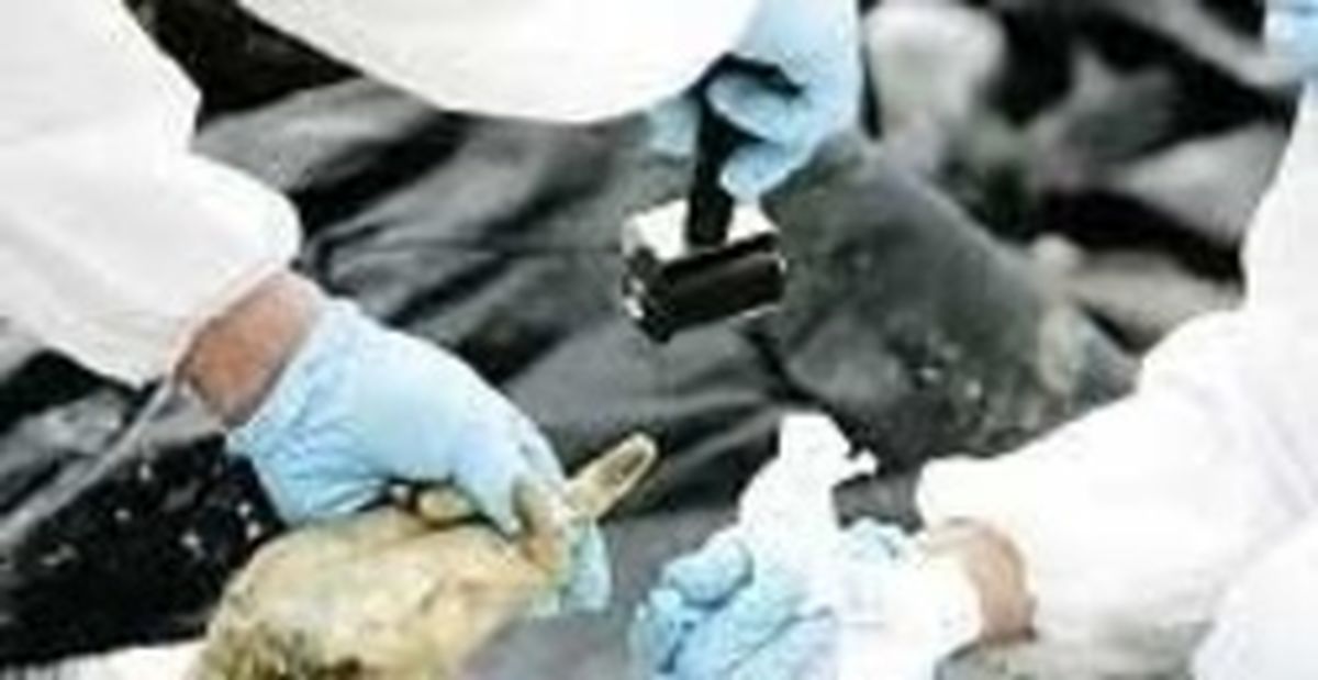 ورود به گوشی با انگشت یک جنازه +عکس