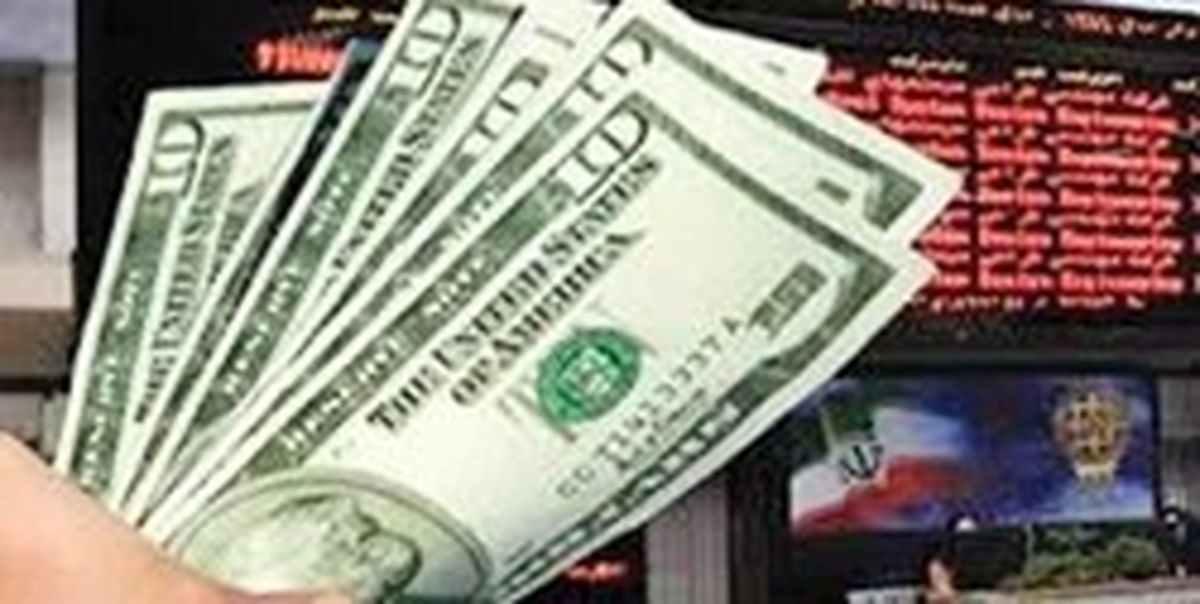 تأکید اعضای شورای پول و اعتبار بر بازگشت ارز به چرخه اقتصاد