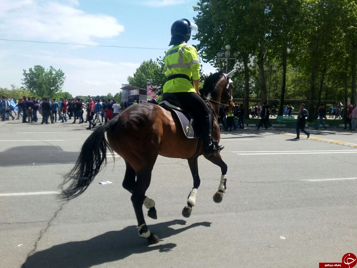 پلیس اسب سوار در دربی ۸۲ +عکس