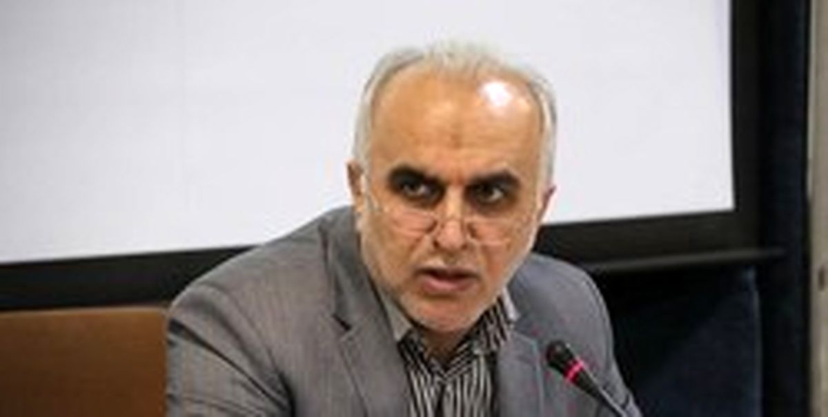 توضیح وزیر اقتصاد درباره مسیر سبز گمرکی