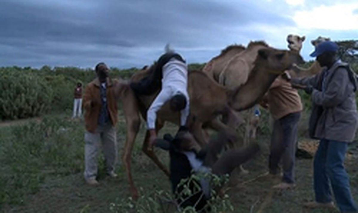 آقای خبرنگار در «دربی شتر» سوژه رسانهها شد +تصاویر