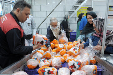 قیمت مرغ در بازار آزاد با افزایش شوکه کننده | قیمت مرغ زنده چقدر شد؟