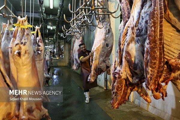 خرید گوشت با کالابرگ به صرفه شد