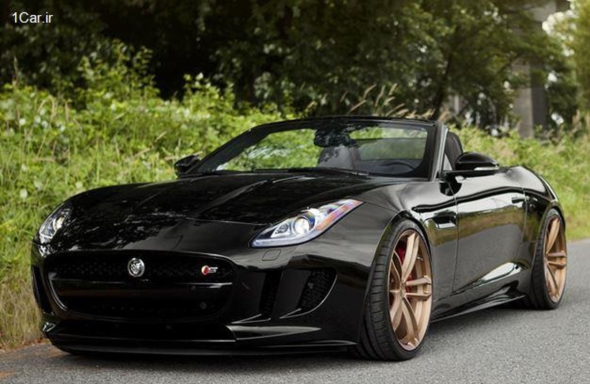 خودرو اسنثنایی جگوار/عکس