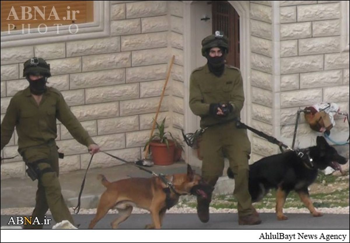بازداشت‎ نوجوان ‎فلسطینی با سگ/تصاویر