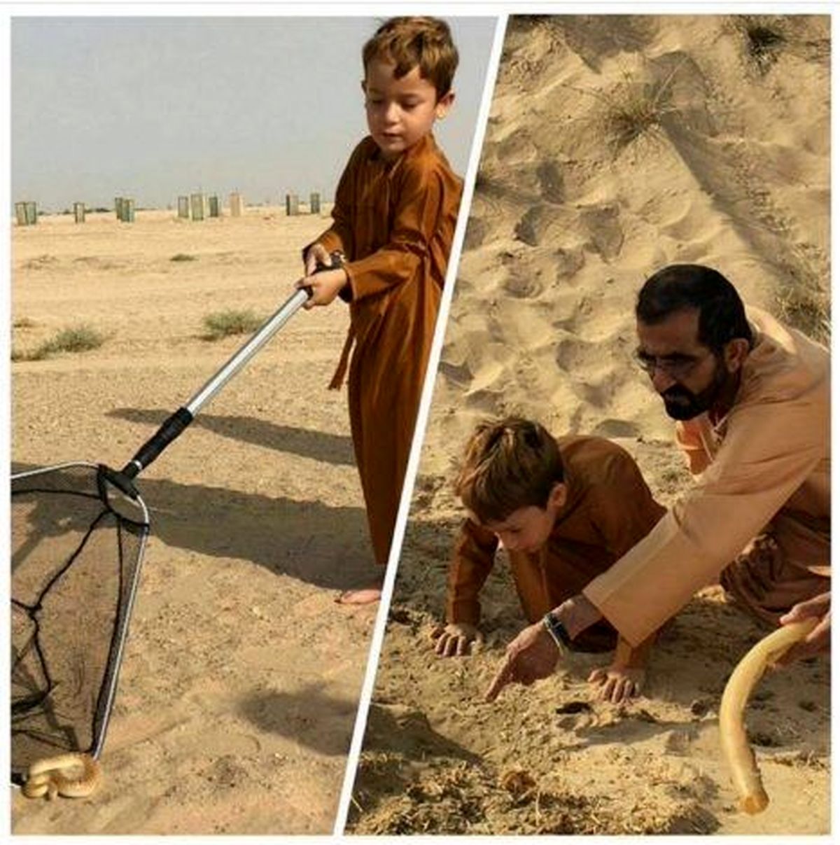 مارگیری حاکم دبی و پسرش در صحرا +عکس