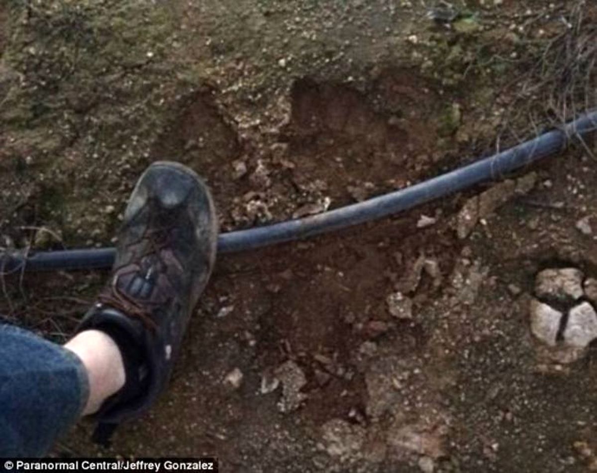 زندگی خانواده پاگنده در باغ میوه یک امریکایی! +تصاویر