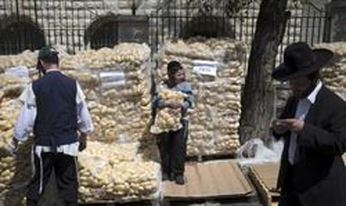 وزیر بهداشت رژیم صهیونیستی کناره گیری کرد