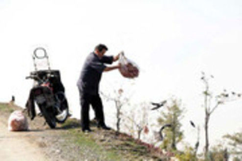 قصه دیدنی زندگی عمو رجب؛ سفره‌دار حیوانات لویزان +فیلم