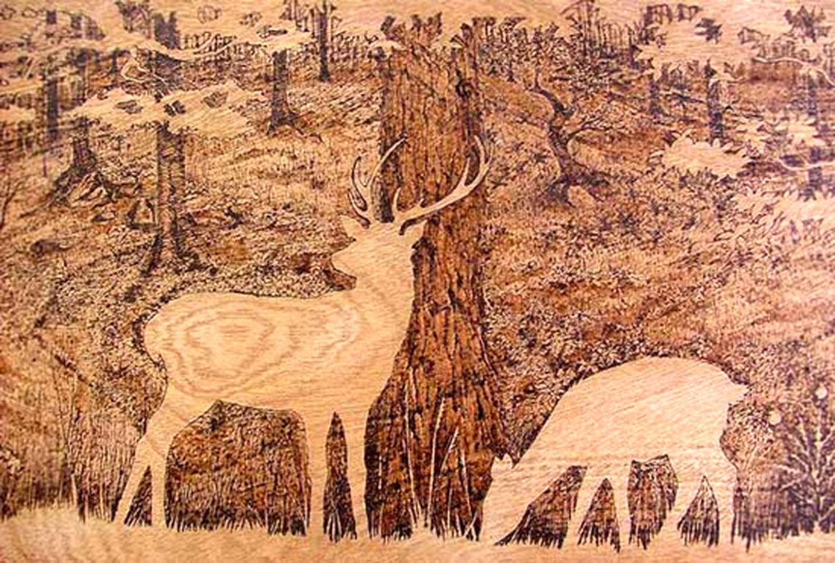 نقاشی‌‌‌هايی با چوب و لحيم!