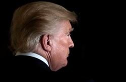 سنای آمریکا در تدارک تشکیل پرونده‌ علیه ترامپ