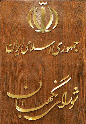 طعنه سخنگوی شورای نگهبان به احمدی نژاد و مشاورش/ افزایش بیکاران سیاسی ای که درباره شورای نگهبان اظهار نظر می کنند!