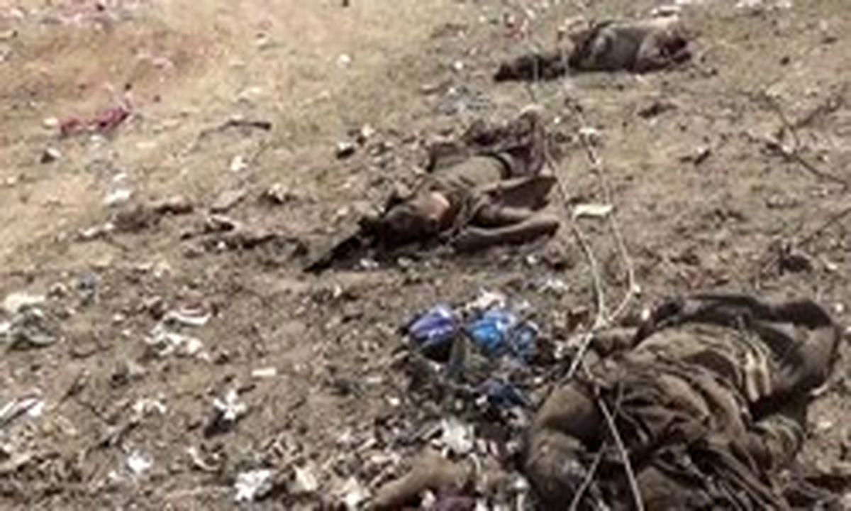 ۷ غیرنظامی در حملات عربستان به یمن جان باختند
