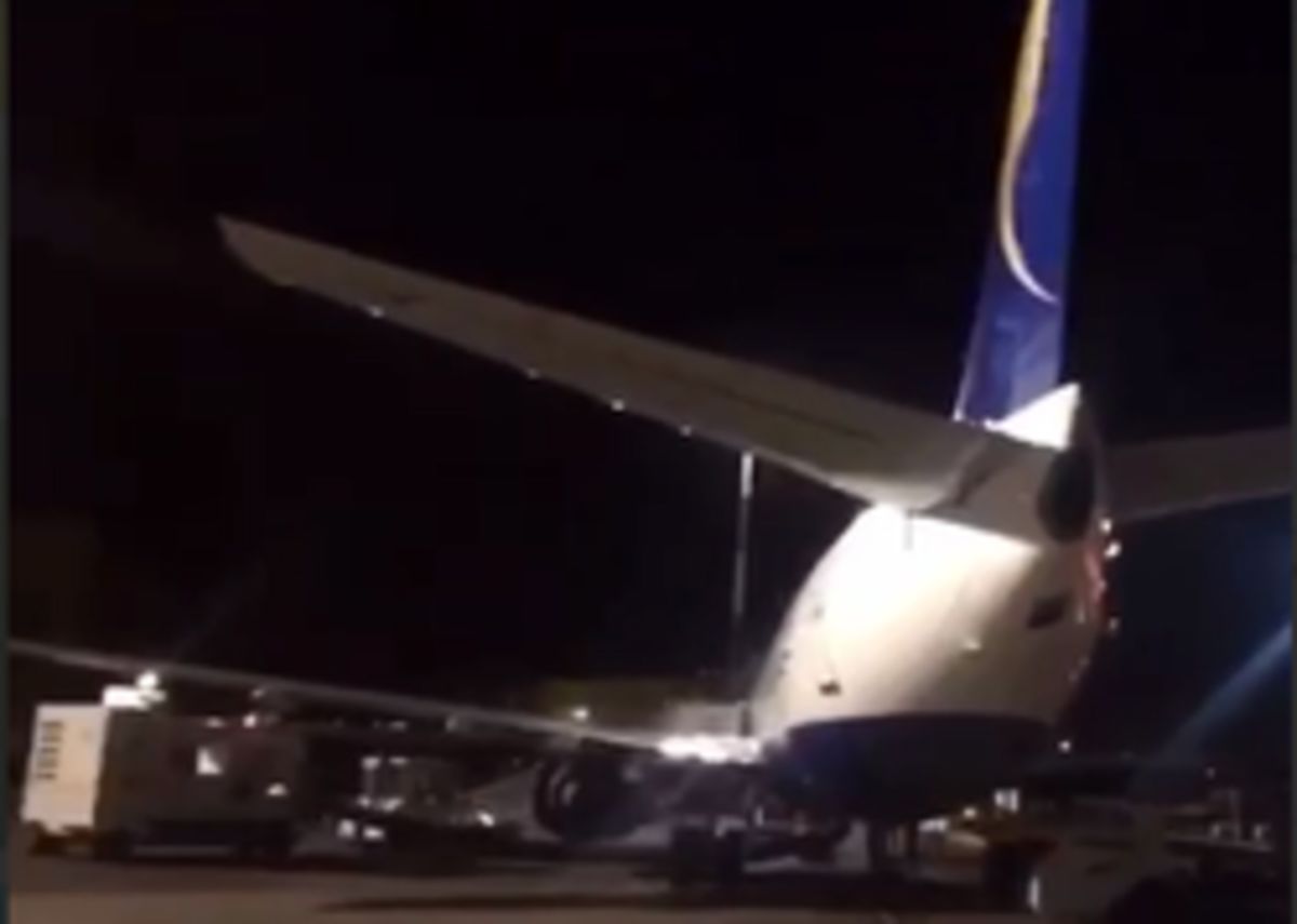 موشی که باعث توقف پرواز در فرودگاه مشهد شد! +فیلم