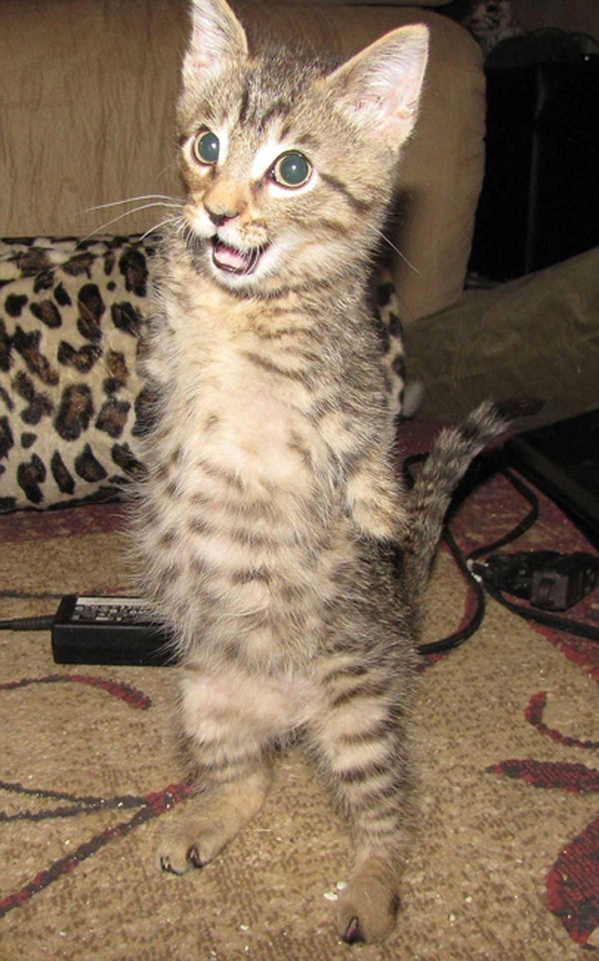 پربازدیدترین‌عکس‌این‌روزهای‌سایت‌های‌اینترنتی