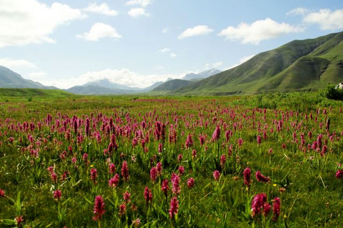 تصاویر / بهشتی در نزدیکی پایتخت