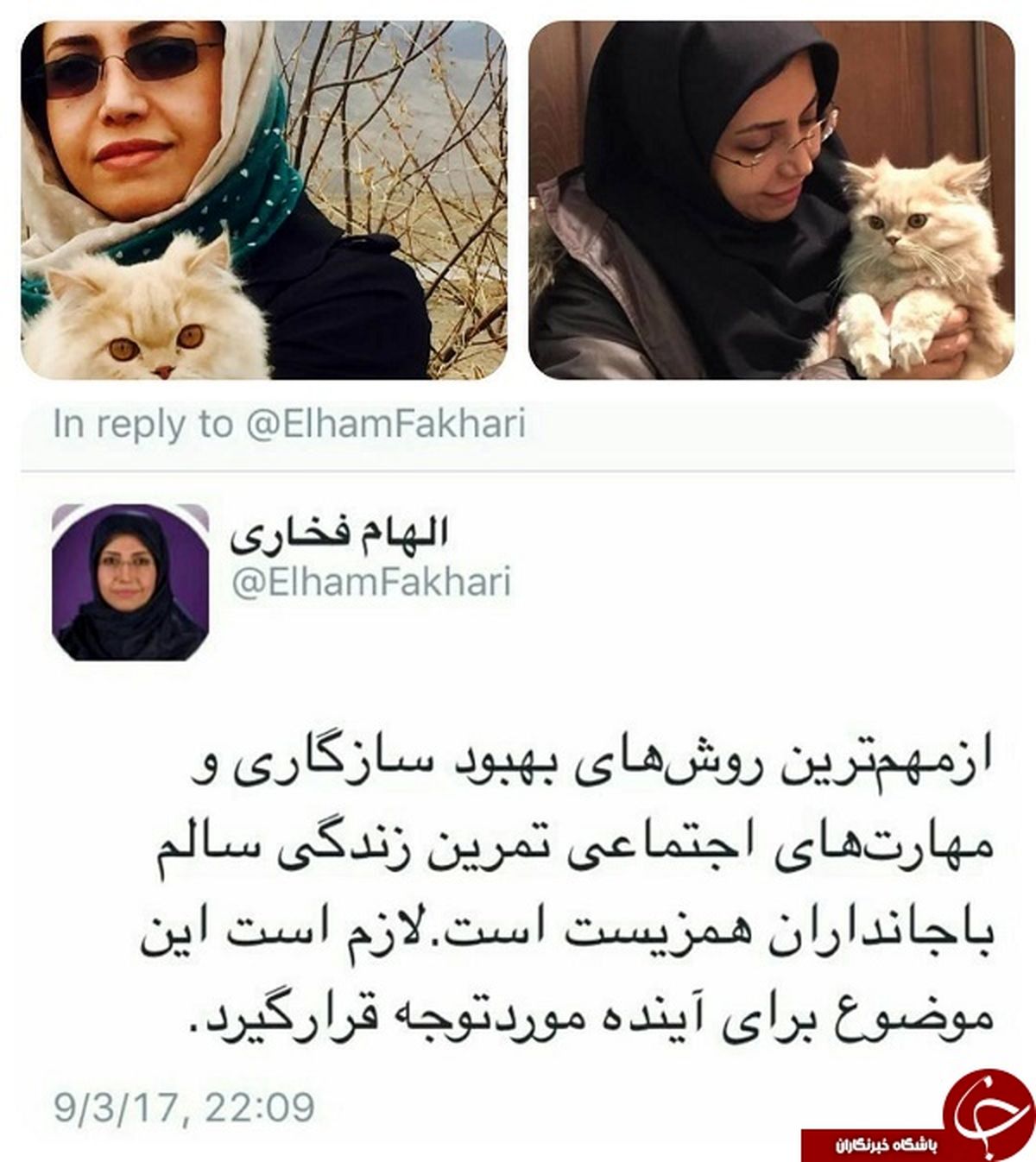 اظهارات عجیب عضوشورای شهر صدای همه را درآورد! +عکس