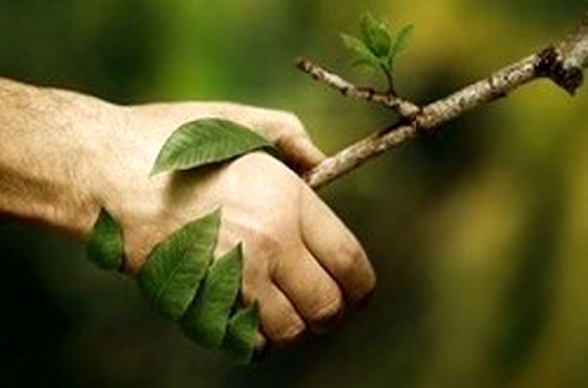 خطر ایجاد فروچاله‌ها در کشور