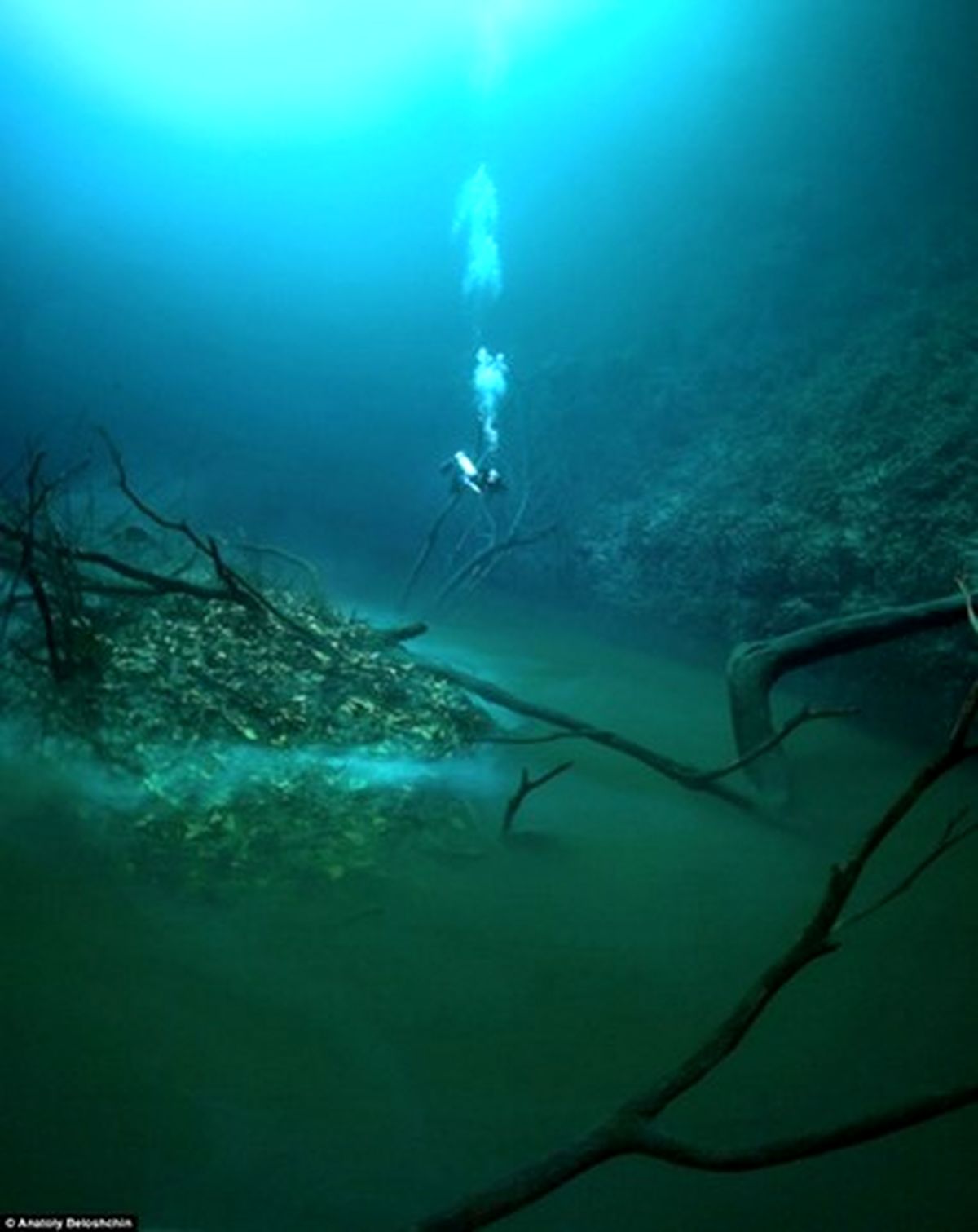 رودخانه ای در زیر دریا/تصاویر