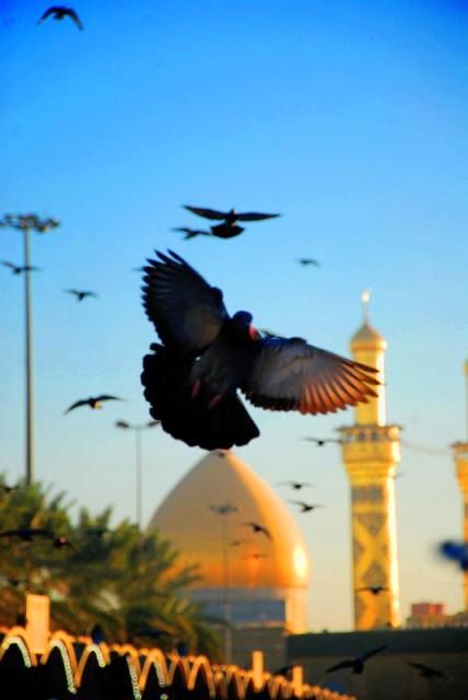 وه چه روزی است مبارک ز قدوم شه دین...