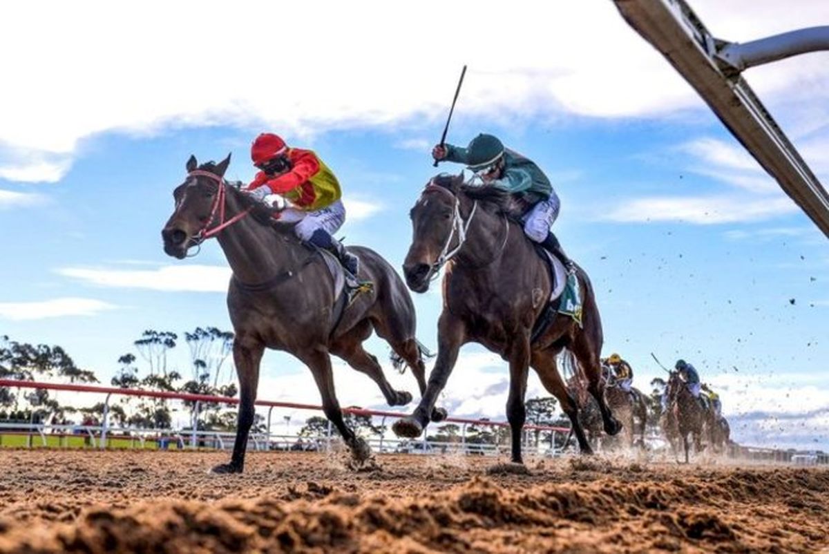 تصاویر: لحظاتی زیبا و دیدنی از دنیای ورزش