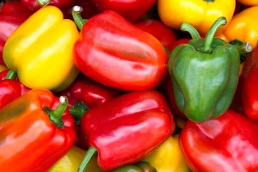 هماهنگی تهران و مسکو برای حل مشکل واردات فلفل دلمه از ایران