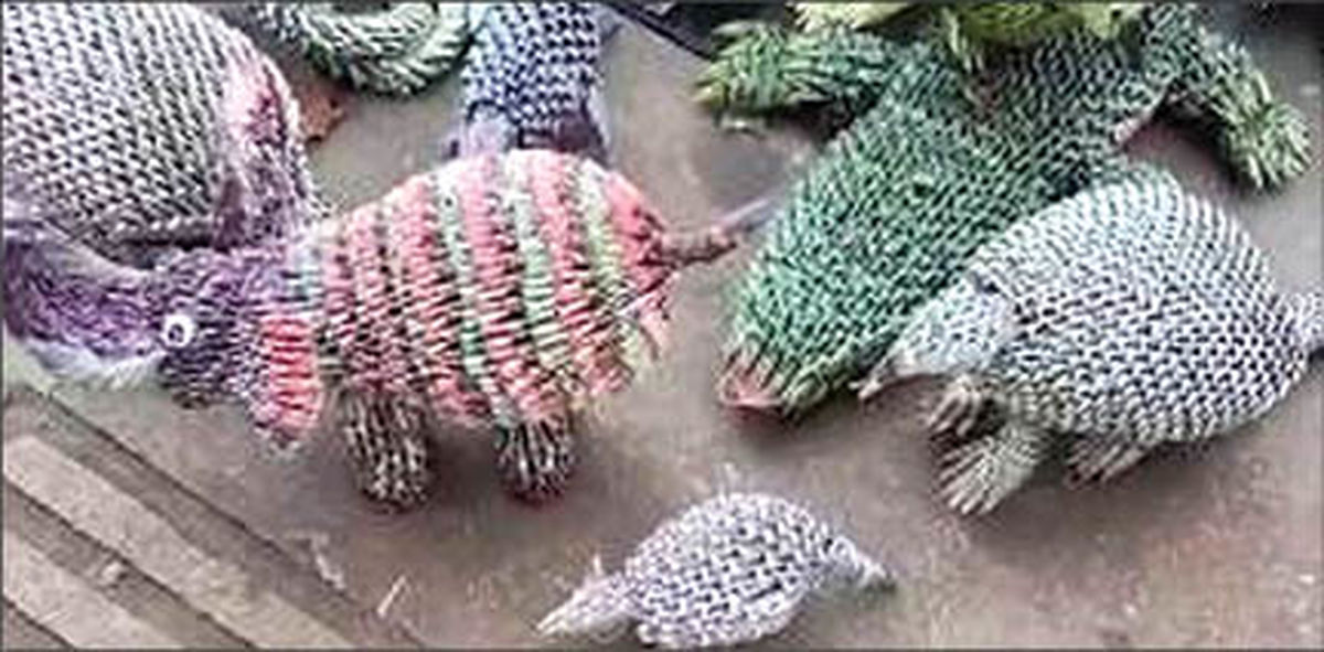 عروسک سازی با اسکناس در ونزوئلا! +عکس