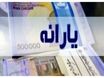  چطور یارانه حذف‌شده را برگردانیم؟ | یک راه تماس با شماره ۰۲۱۶۳۶۹