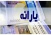  چطور یارانه حذف‌شده را برگردانیم؟ | یک راه تماس با شماره ۰۲۱۶۳۶۹