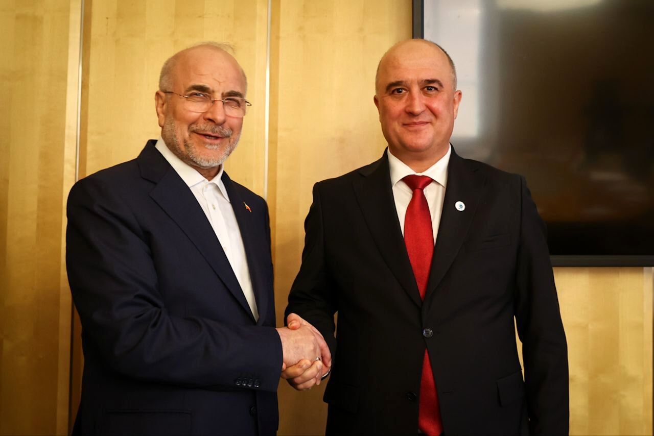 روسای مجالس ایران و تاجیکستان در ژنو دیدار کردند +عکس